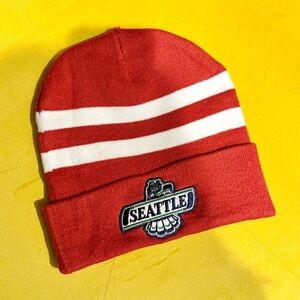 Seattle Seahawks Beanie Hat